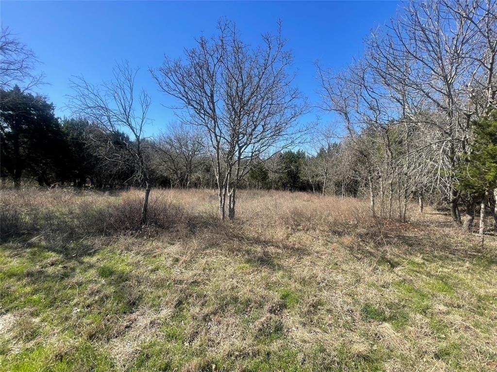 0.31 acres in Hill County - photo 5