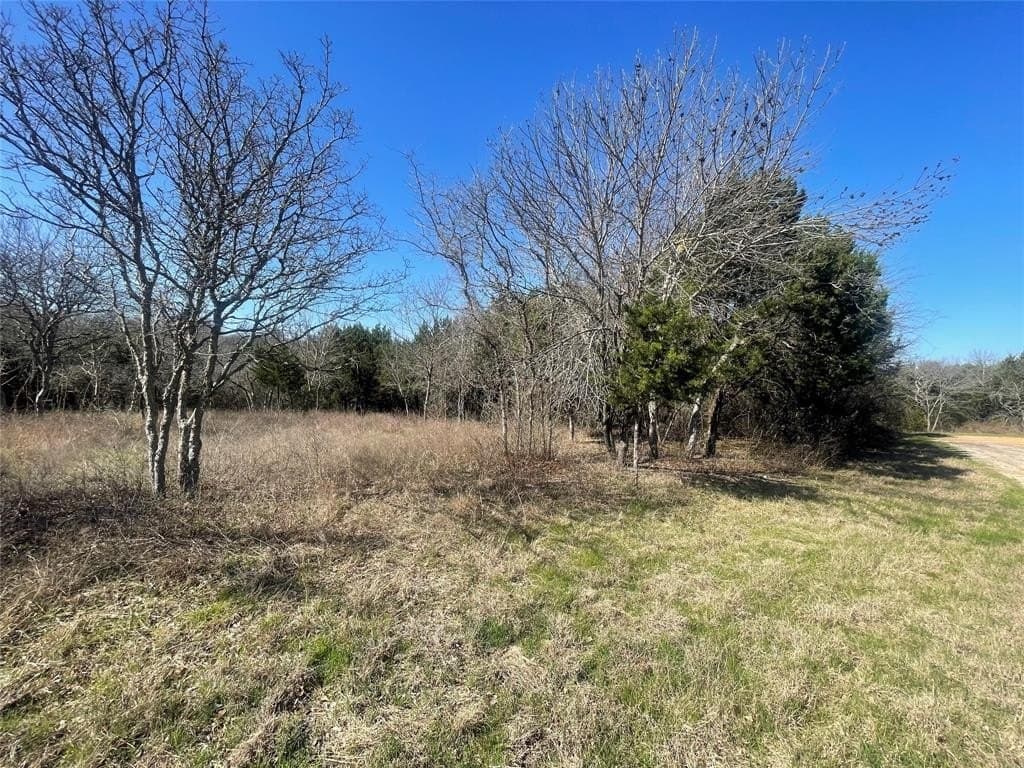 0.31 acres in Hill County - photo 7