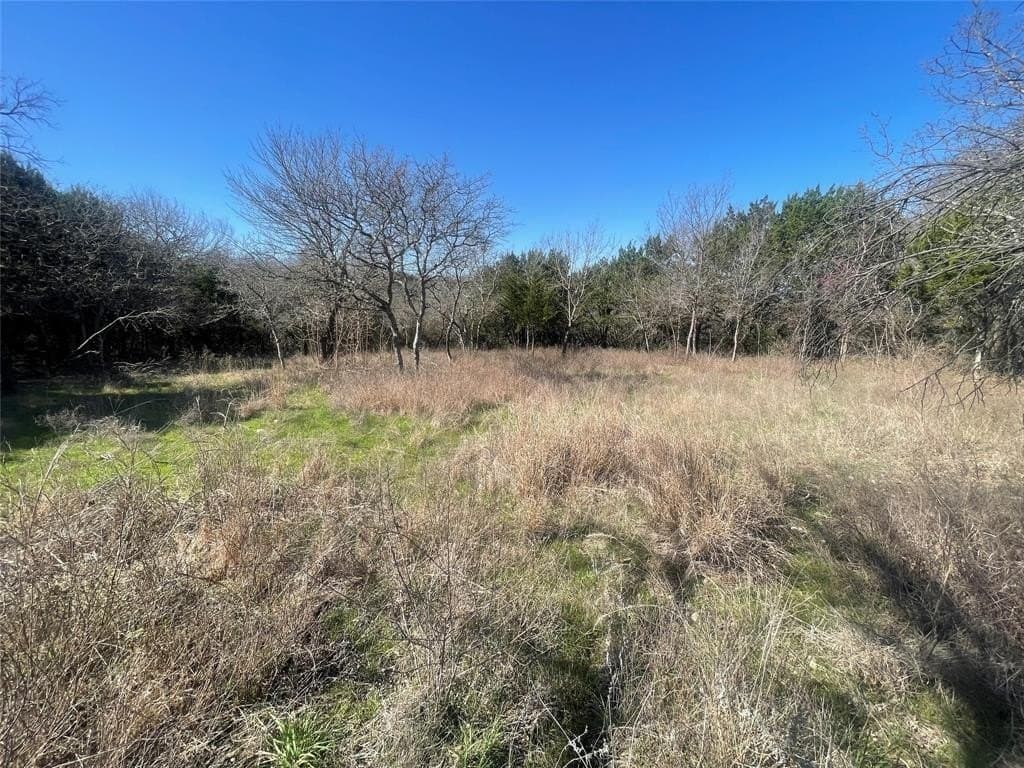 0.31 acres in Hill County - photo 6