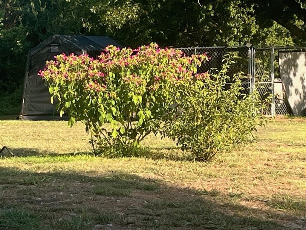 1.32 acres in Grayson County - photo 18