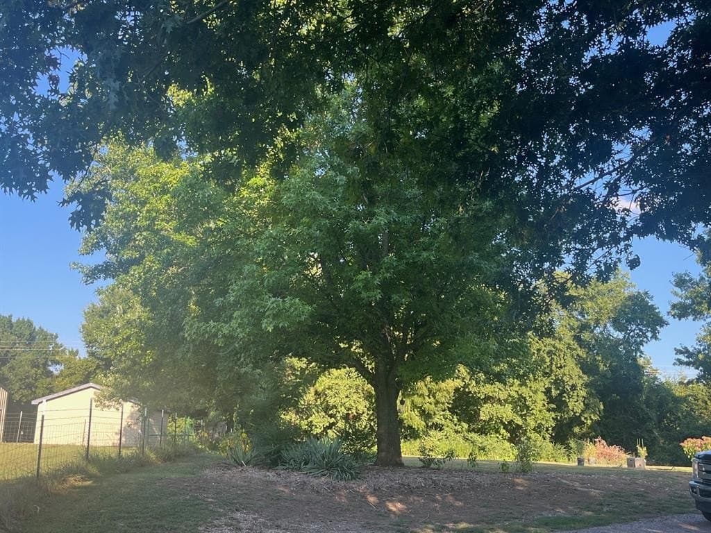 1.32 acres in Grayson County - photo 20