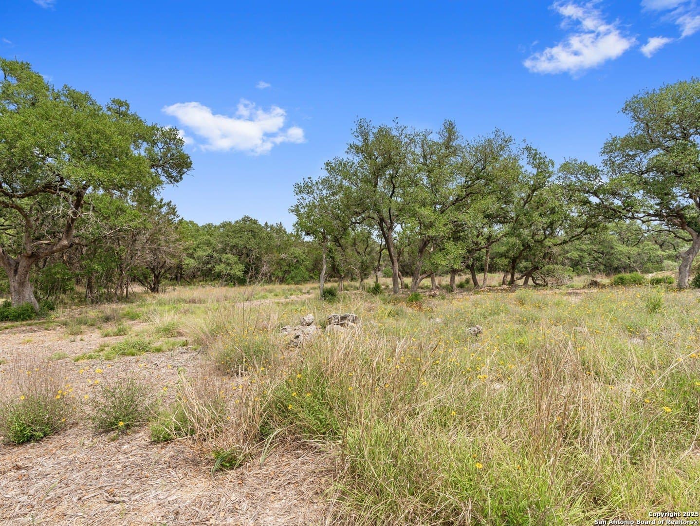 11.13 acres in Hays County - photo 32