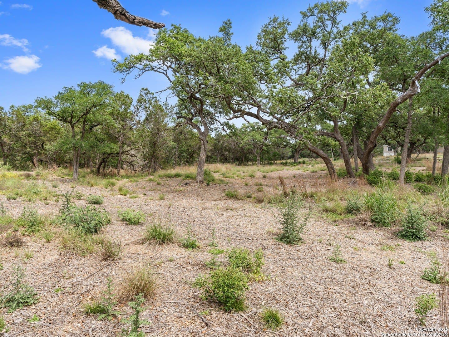 11.13 acres in Hays County - photo 30