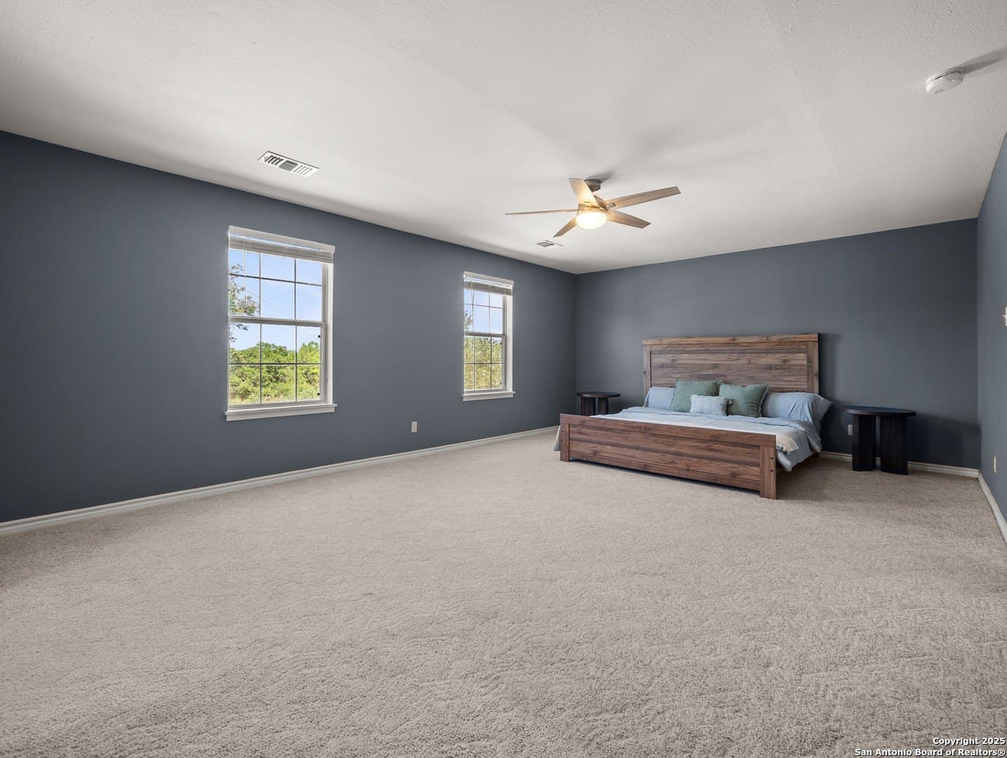 11.13 acres in Hays County - photo 11