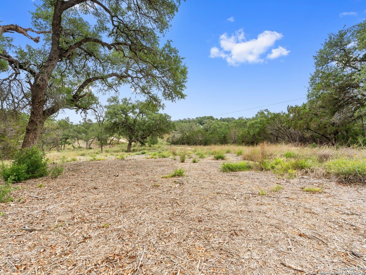 11.13 acres in Hays County - photo 33