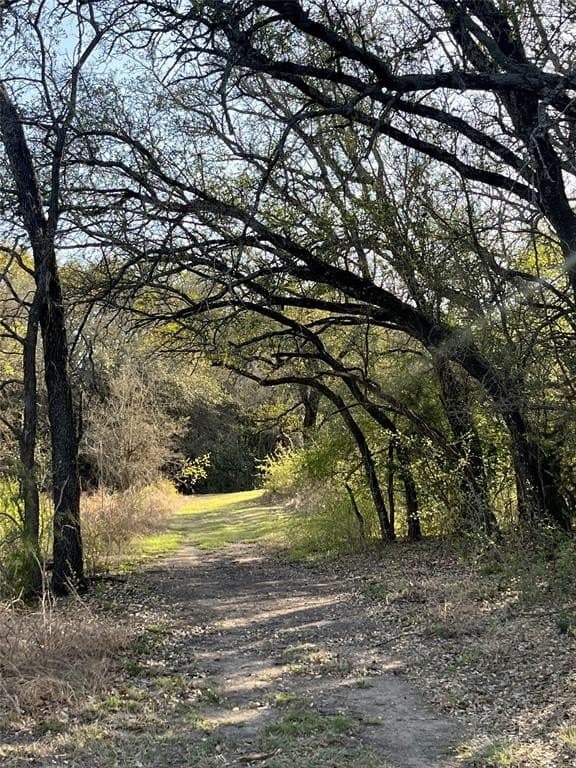 20 acres in Bosque County - photo 23