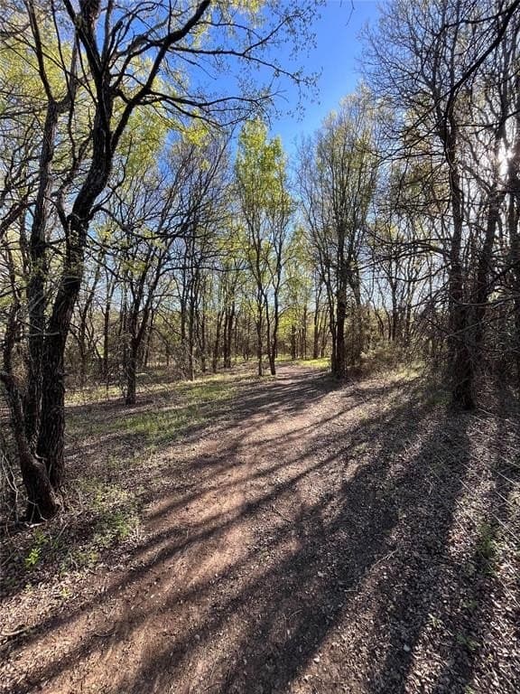 20 acres in Bosque County - photo 17