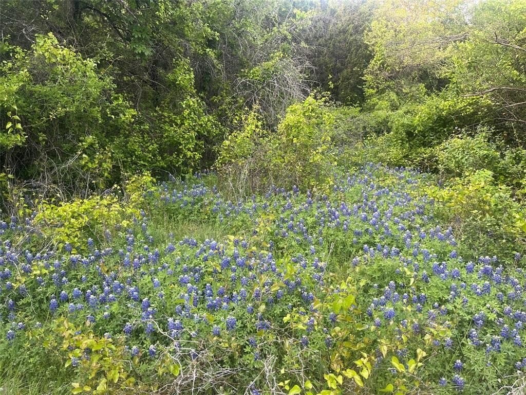 20 acres in Bosque County - photo 22