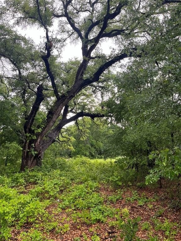 20 acres in Bosque County - photo 3