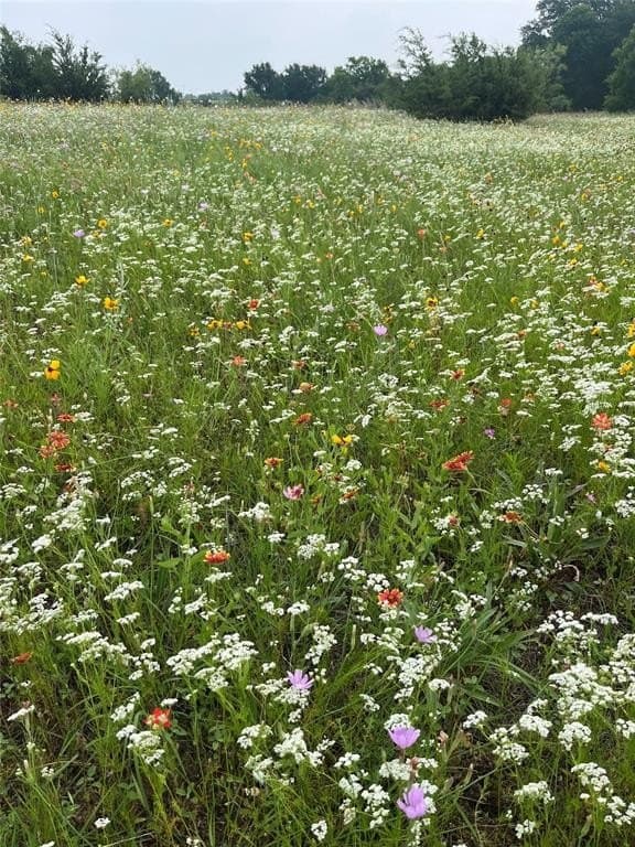 20 acres in Bosque County - photo 16