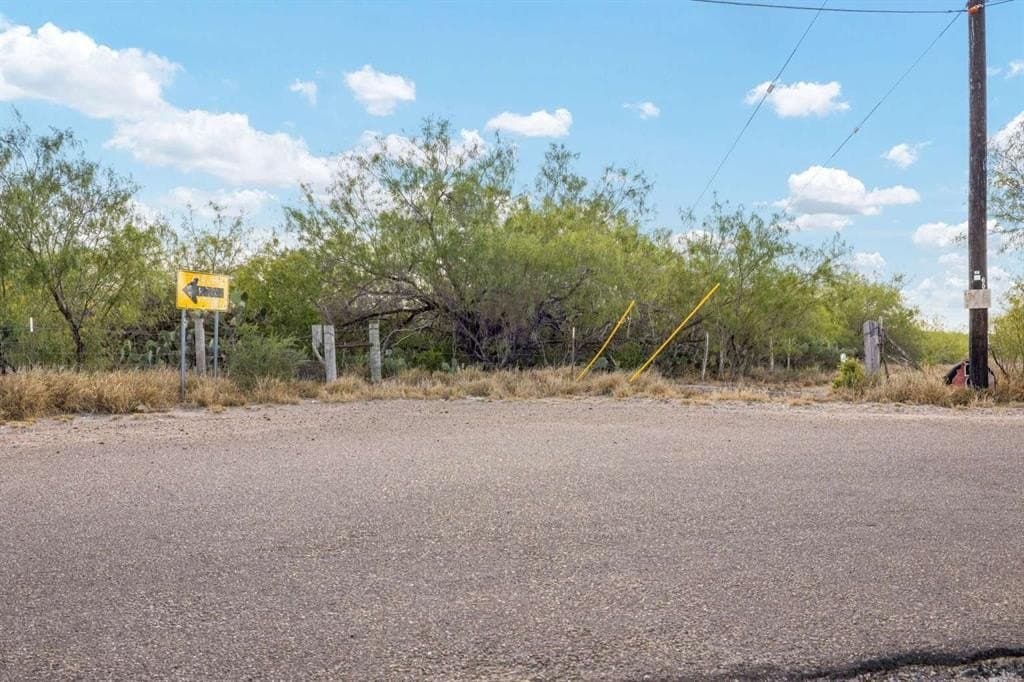16.26 acres in Starr County - photo 23