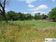 0.64 acres in Milam County - photo 3