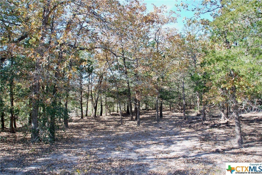 60.5 acres in Fayette County - photo 10