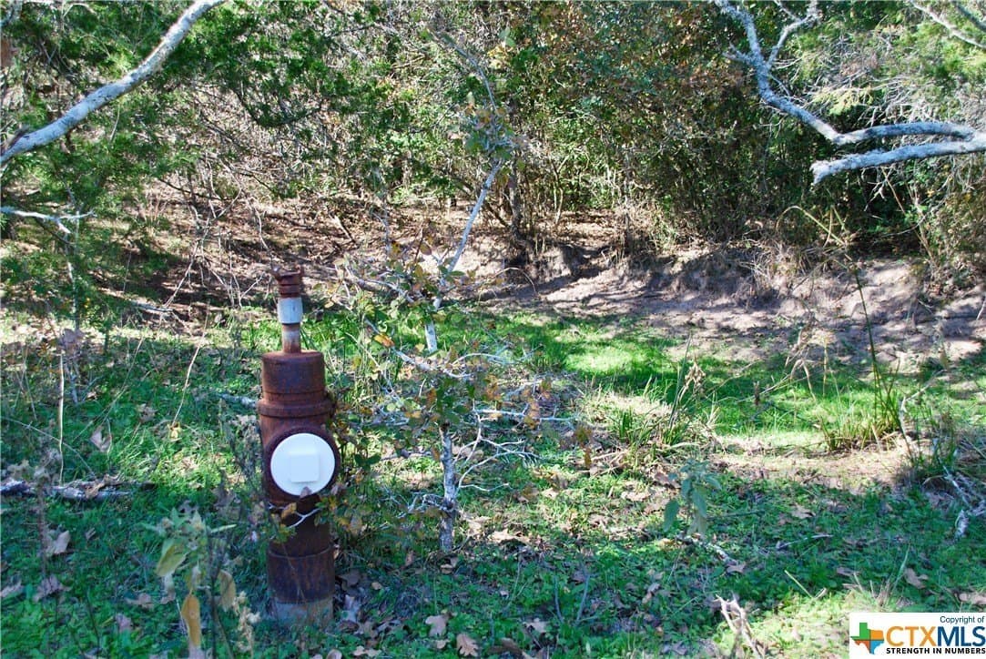 60.5 acres in Fayette County - photo 17
