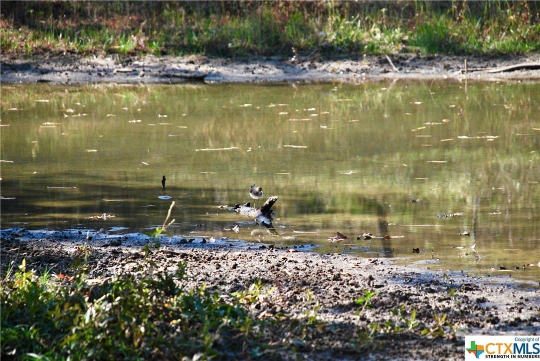 60.5 acres in Fayette County - photo 11