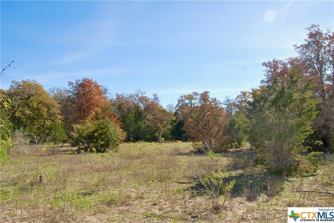 60.5 acres in Fayette County - photo 23