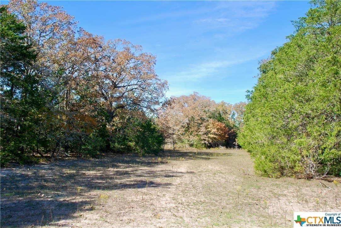 60.5 acres in Fayette County - photo 14