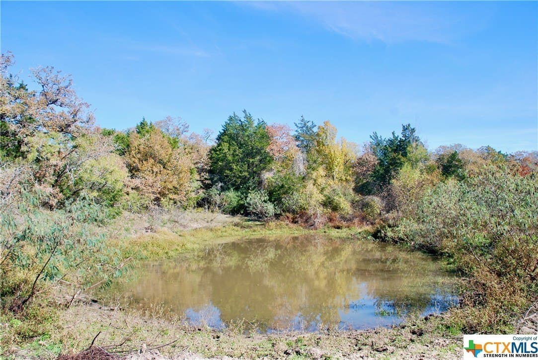 60.5 acres in Fayette County - photo 16