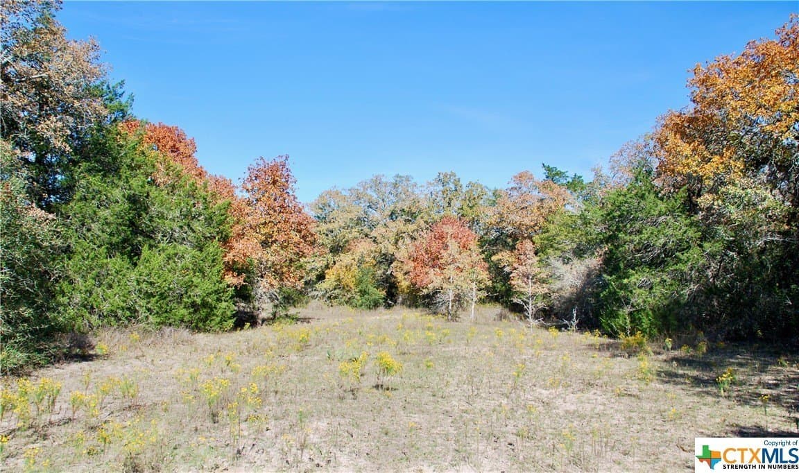 60.5 acres in Fayette County - photo 15