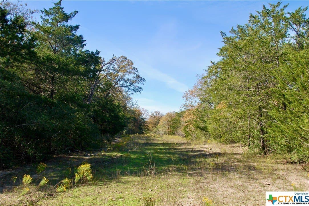 60.5 acres in Fayette County - photo 18