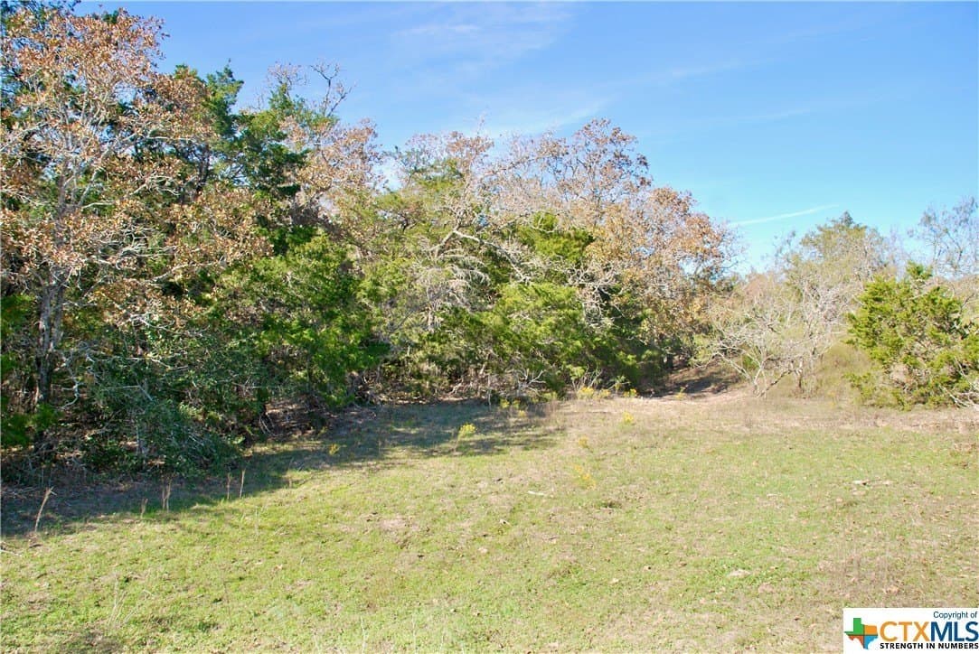 60.5 acres in Fayette County - photo 13