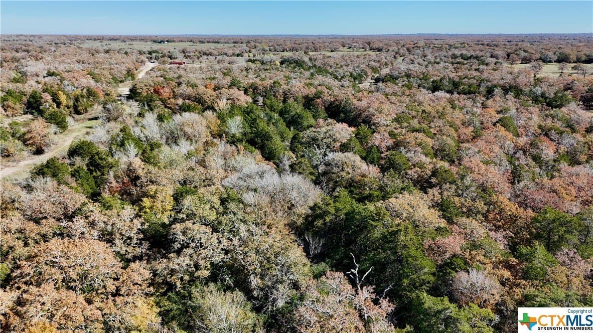 60.5 acres in Fayette County - photo 6