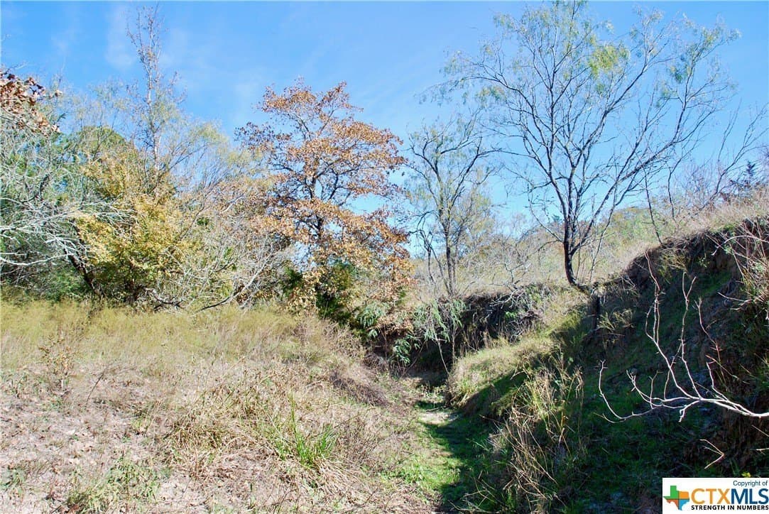 60.5 acres in Fayette County - photo 22