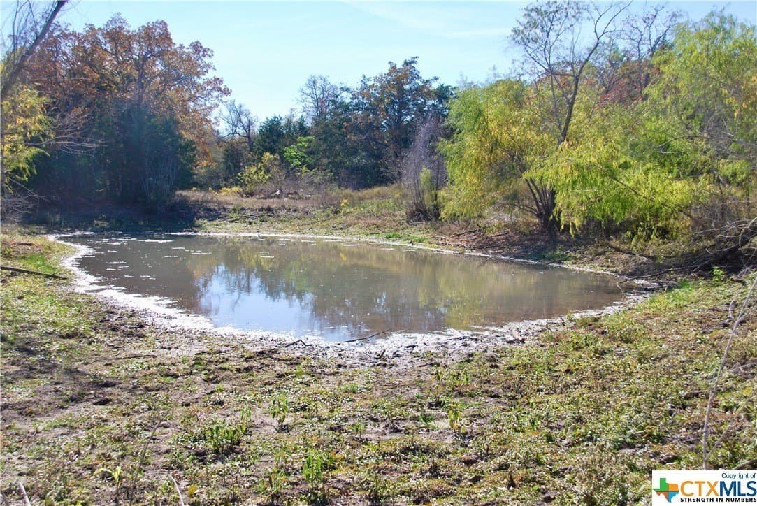60.5 acres in Fayette County - photo 9
