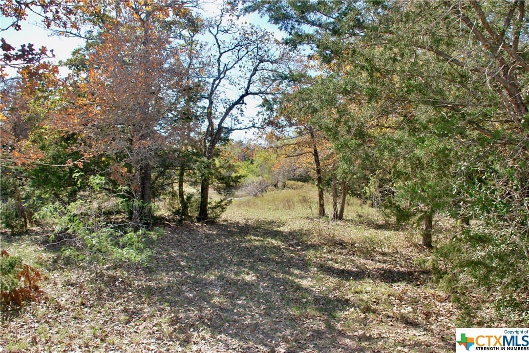 60.5 acres in Fayette County - photo 8