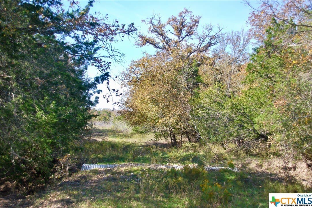 60.5 acres in Fayette County - photo 19