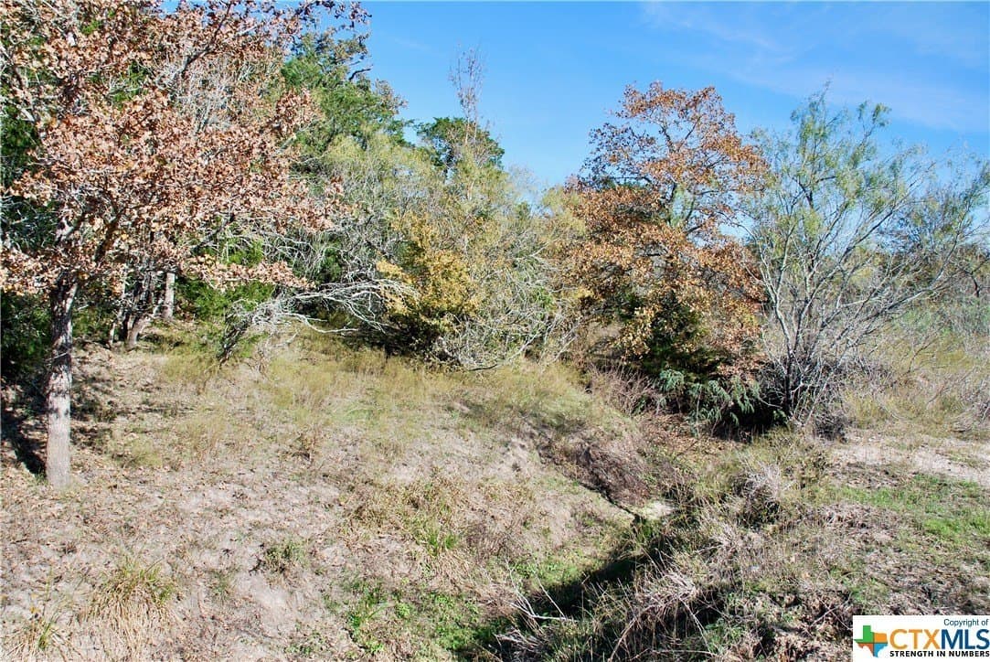 60.5 acres in Fayette County - photo 20