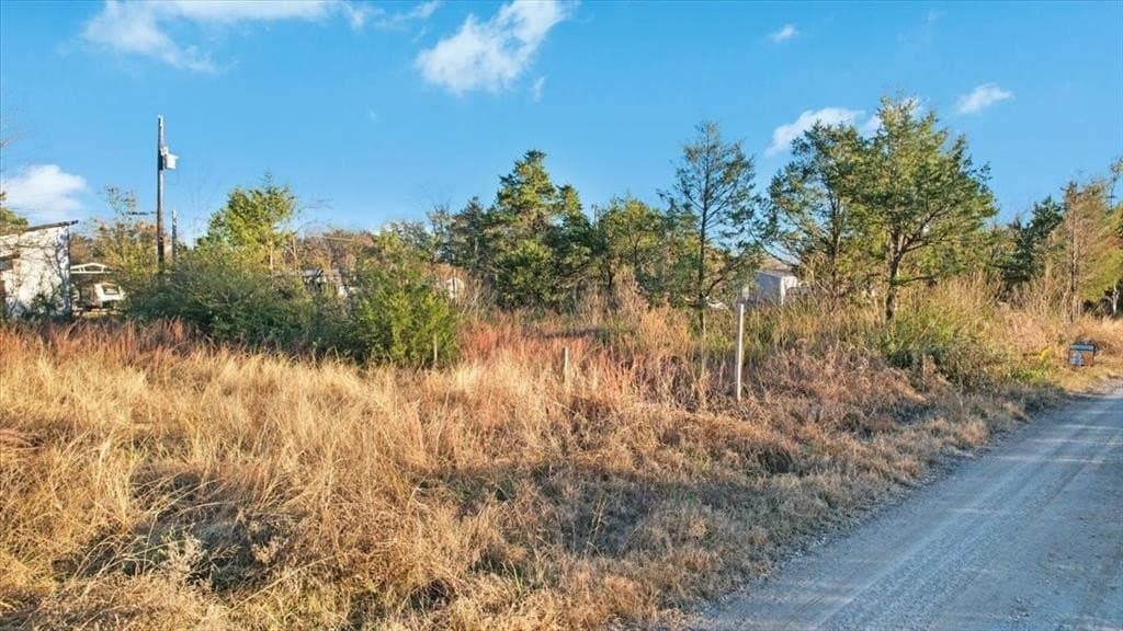 0.23 acres in Grayson County - photo 5