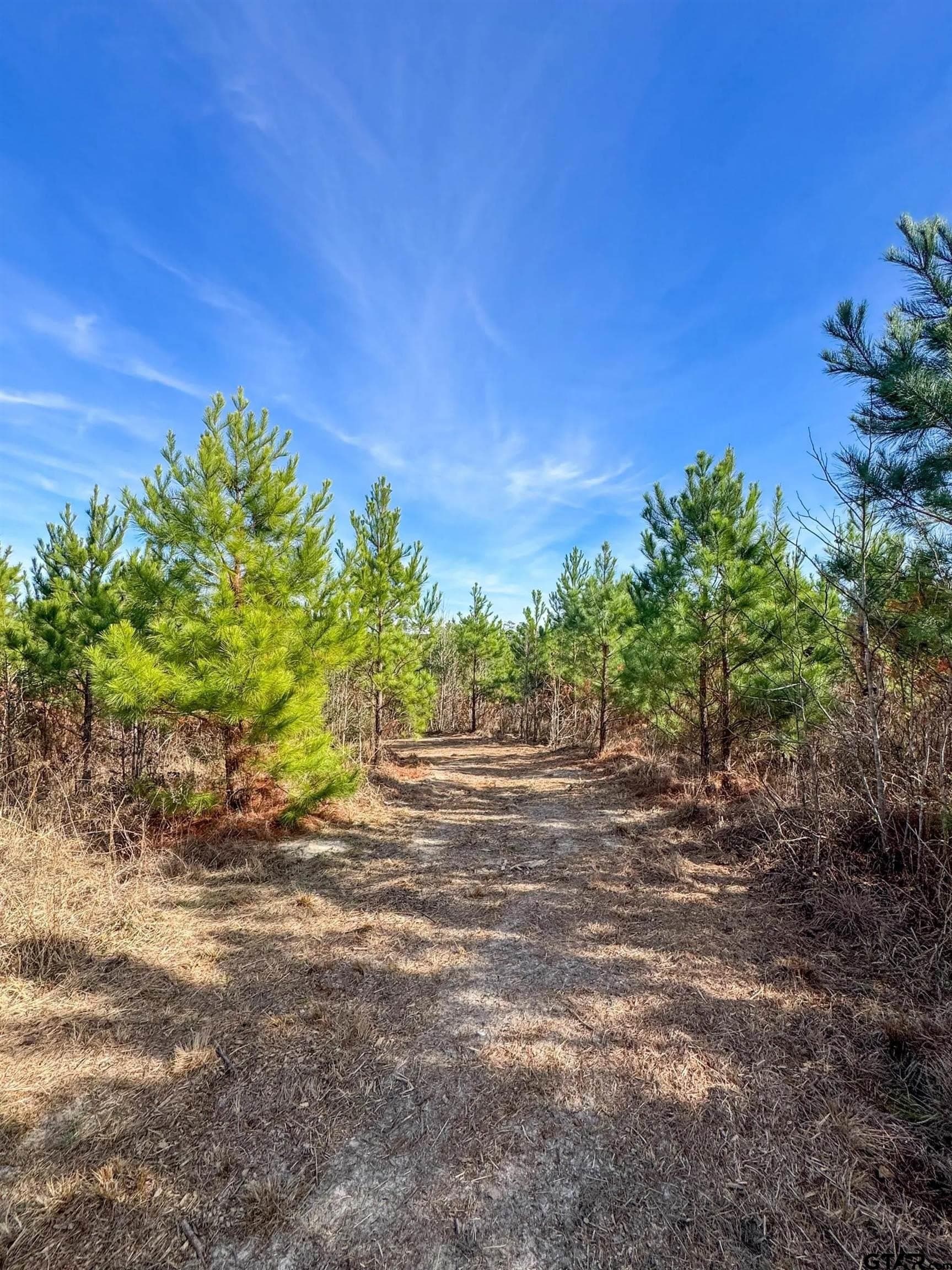 78 acres in Marion County - photo 24