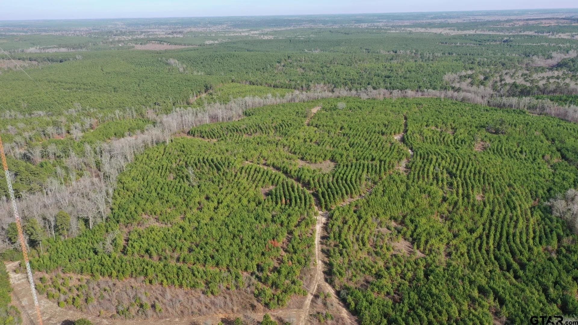 78 acres in Marion County - photo 4