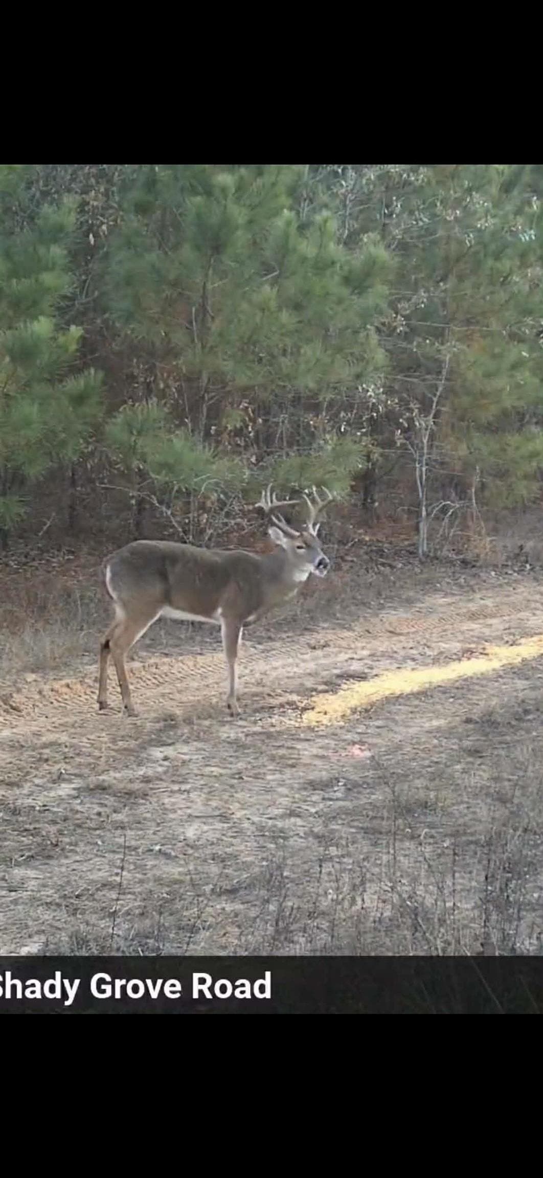 78 acres in Marion County - photo 32