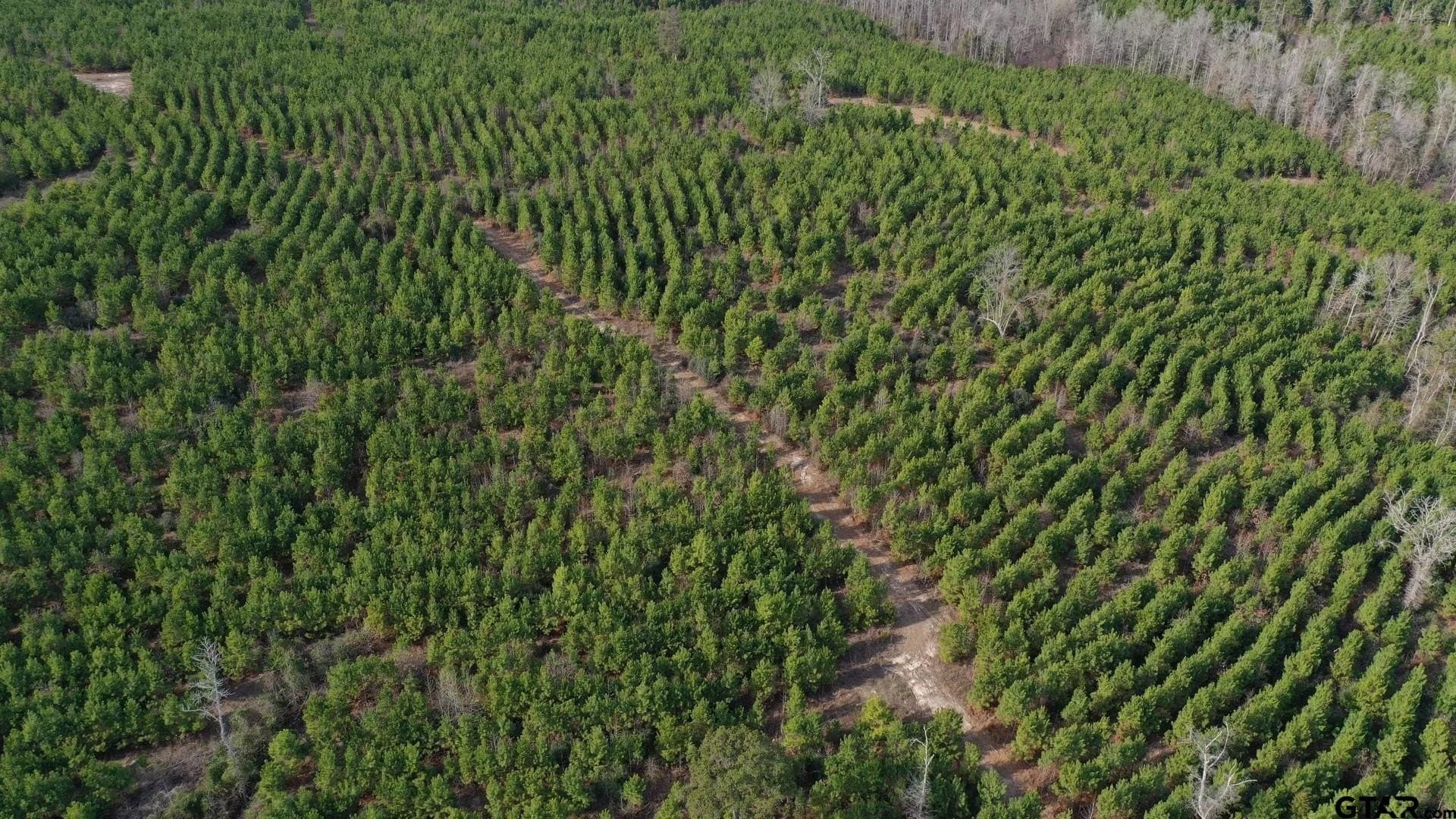 78 acres in Marion County - photo 7