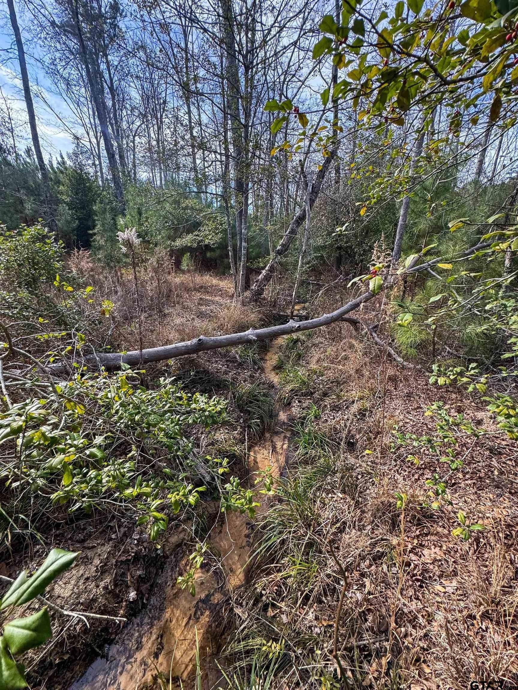 78 acres in Marion County - photo 41