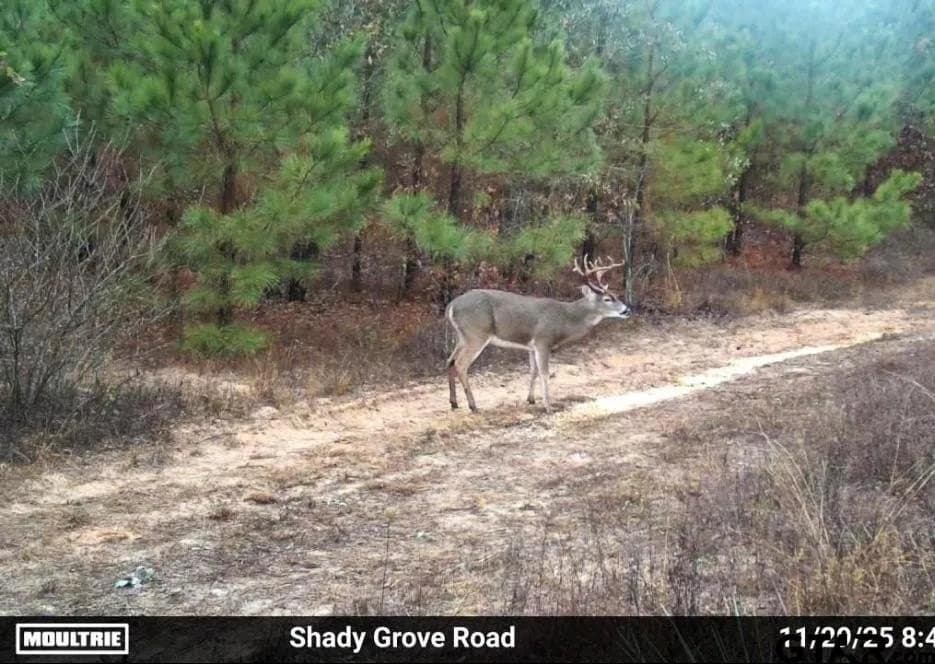 78 acres in Marion County - photo 29