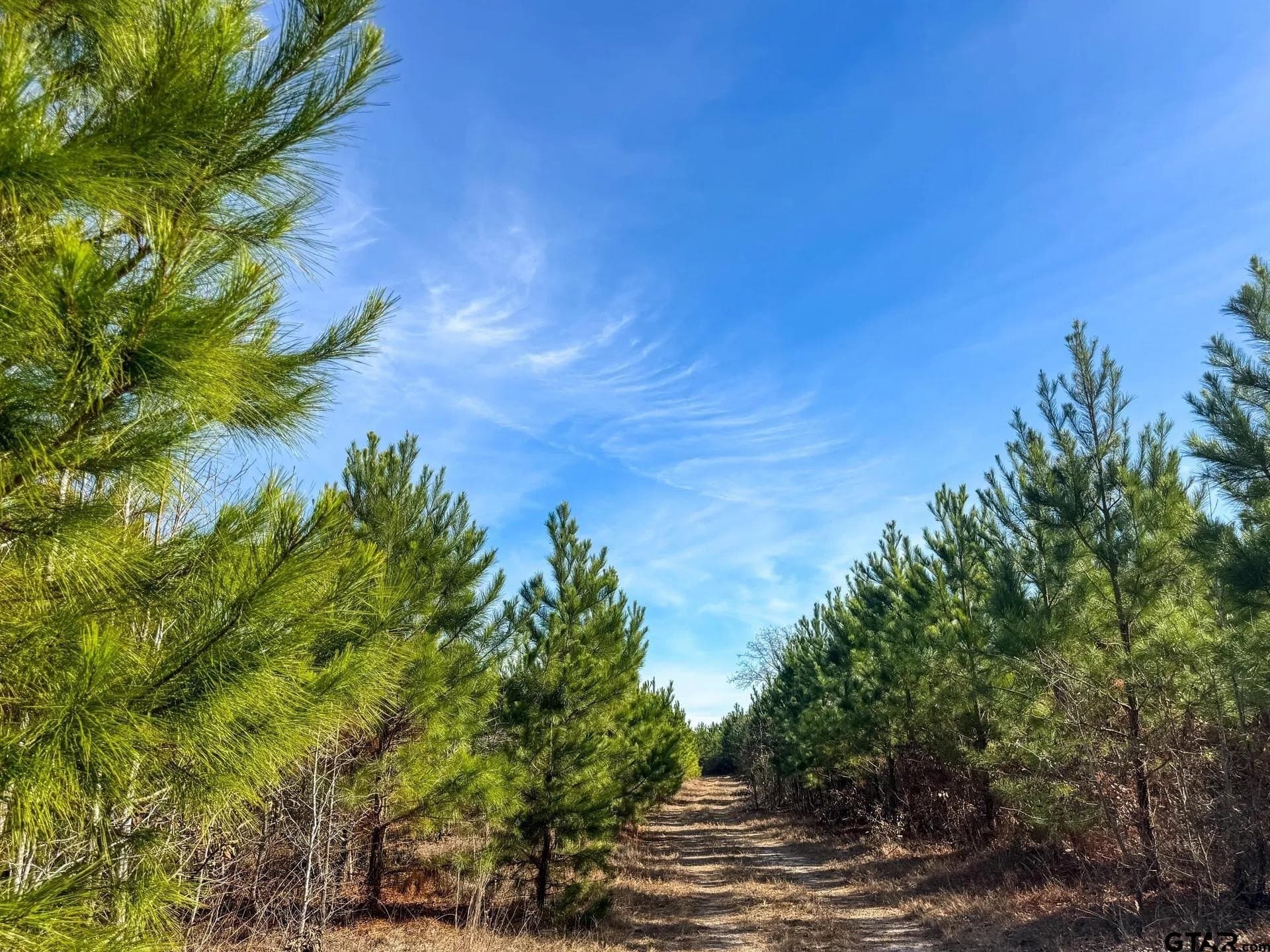 78 acres in Marion County - photo 23
