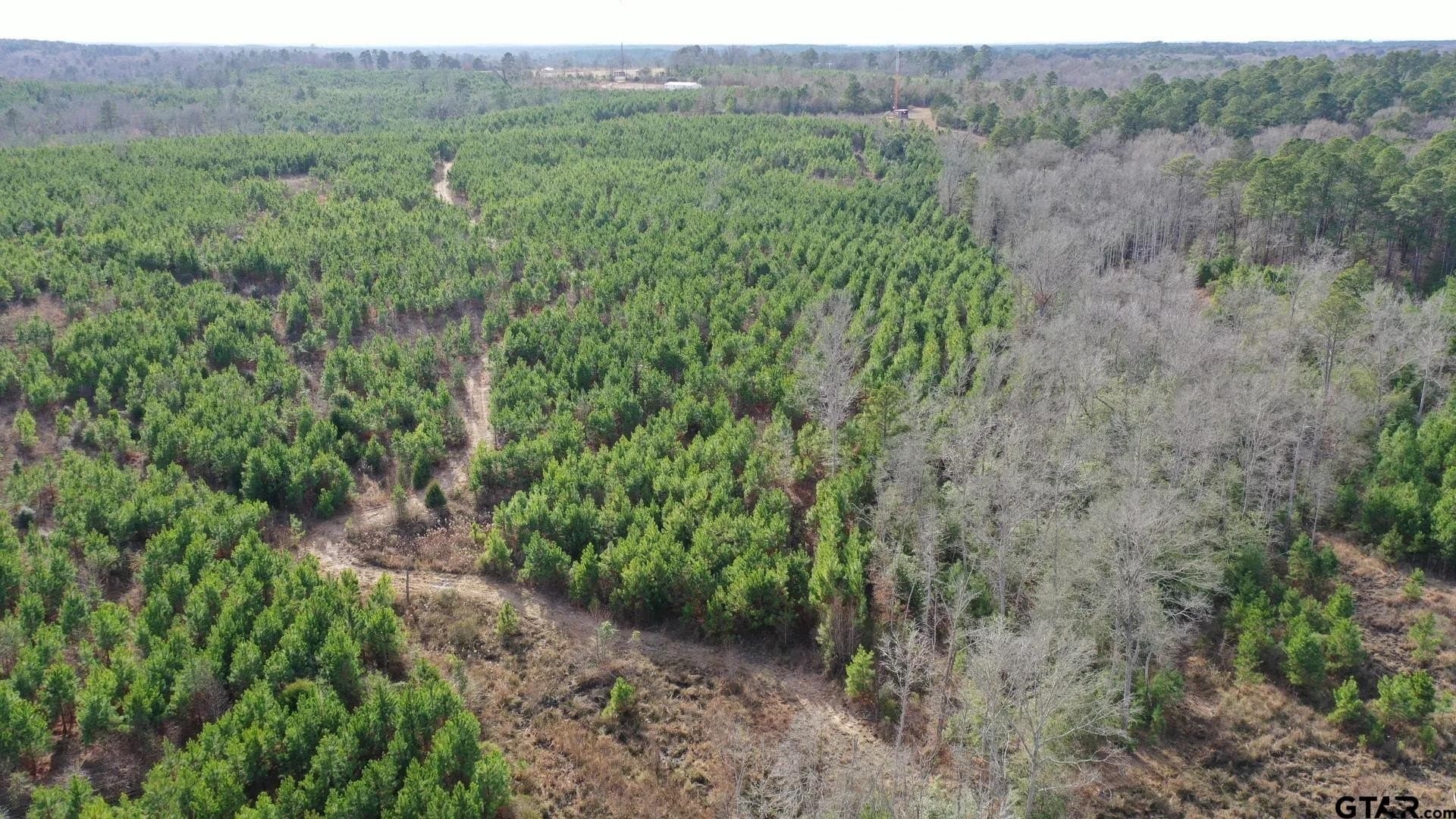 78 acres in Marion County - photo 3