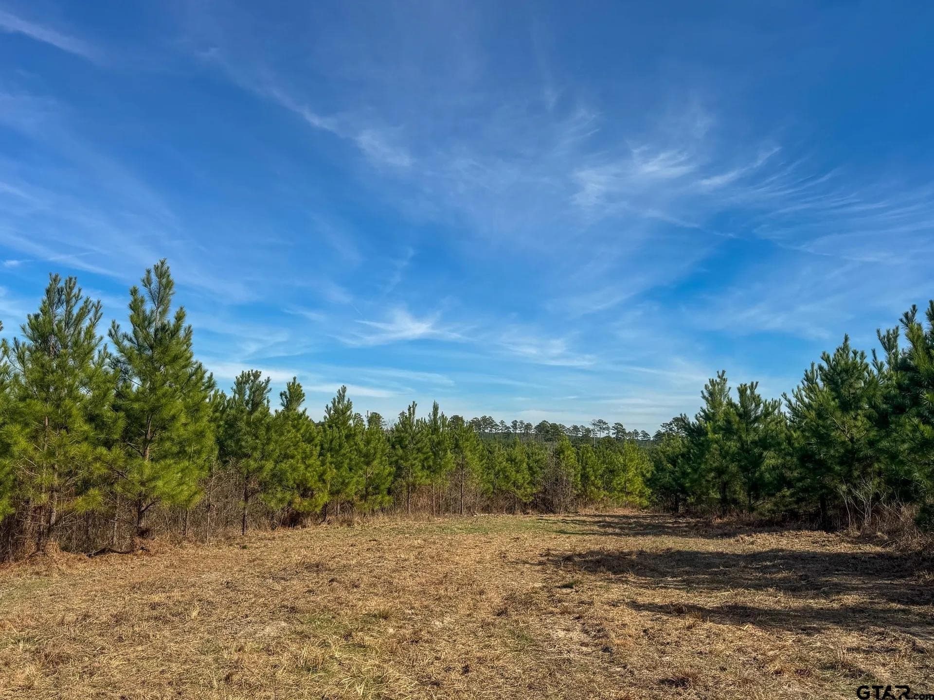 78 acres in Marion County - photo 25