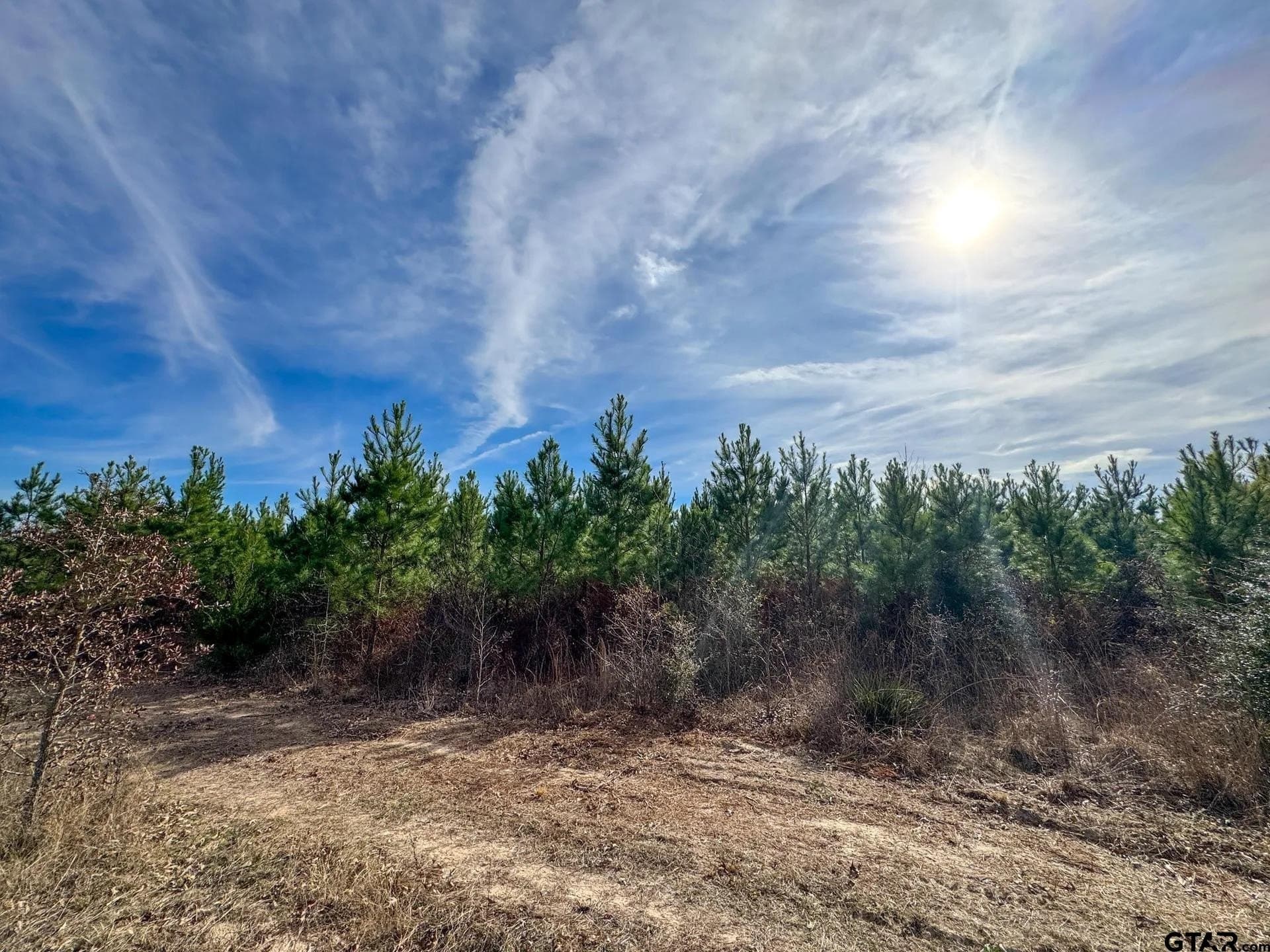 78 acres in Marion County - photo 40