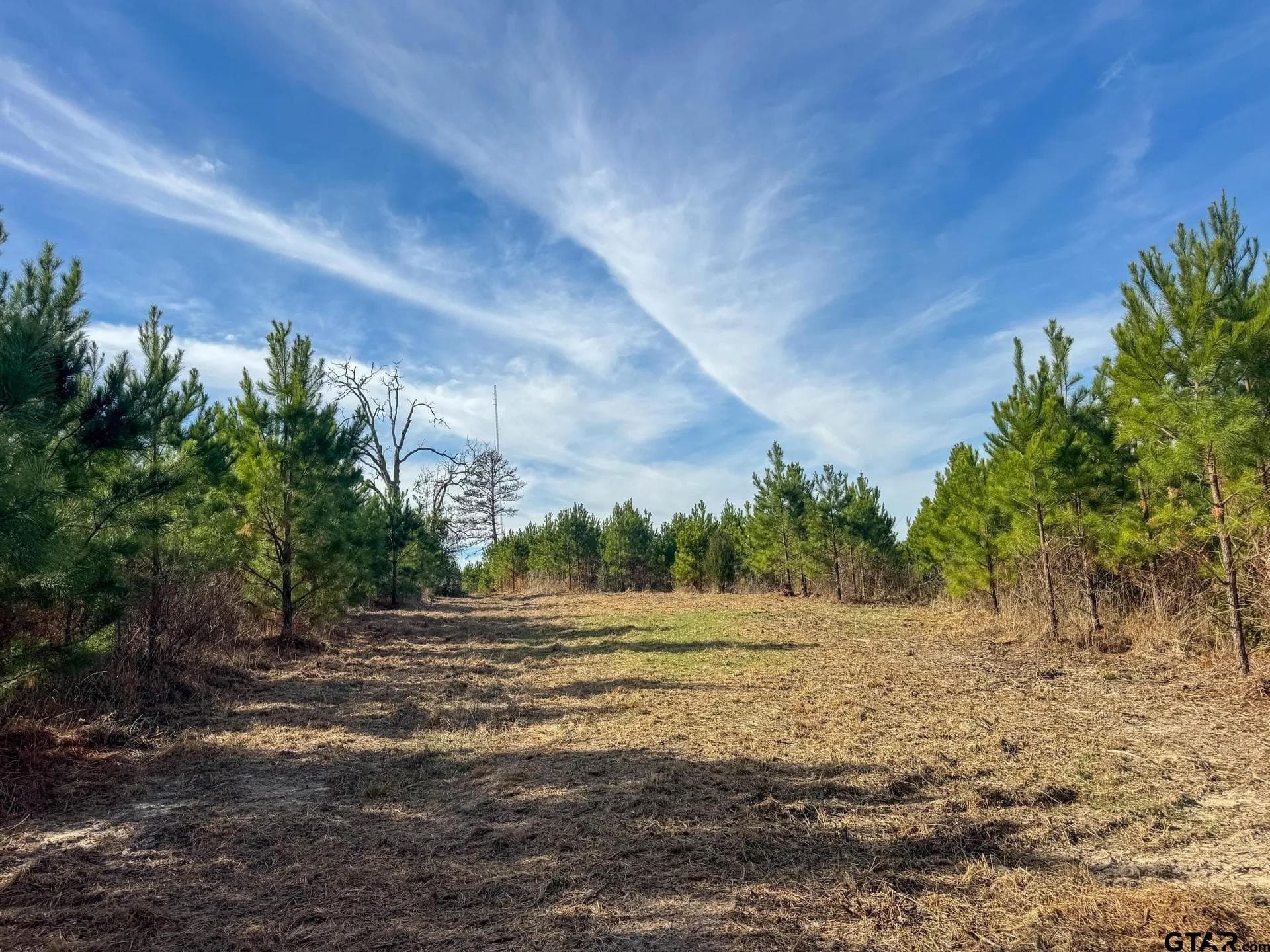 78 acres in Marion County - photo 26