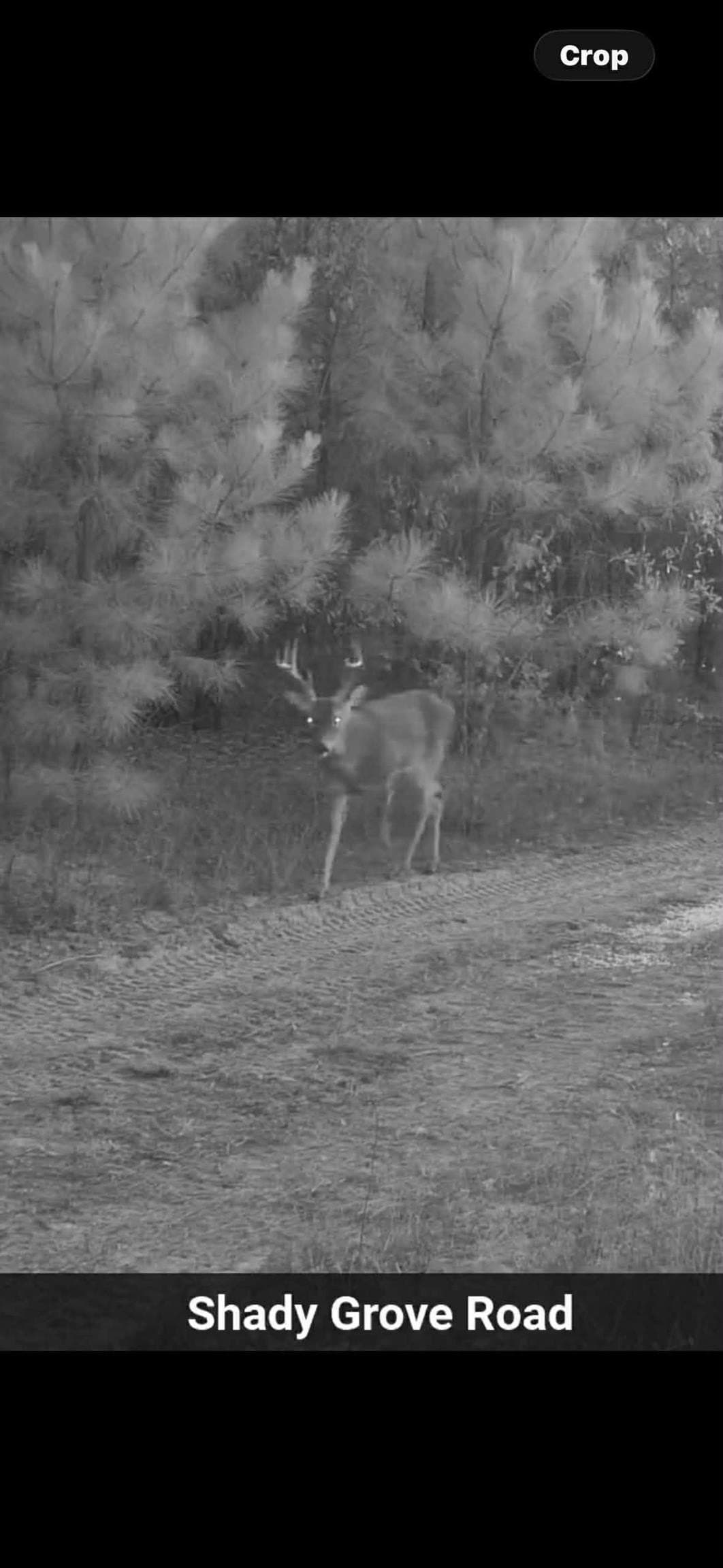 78 acres in Marion County - photo 33