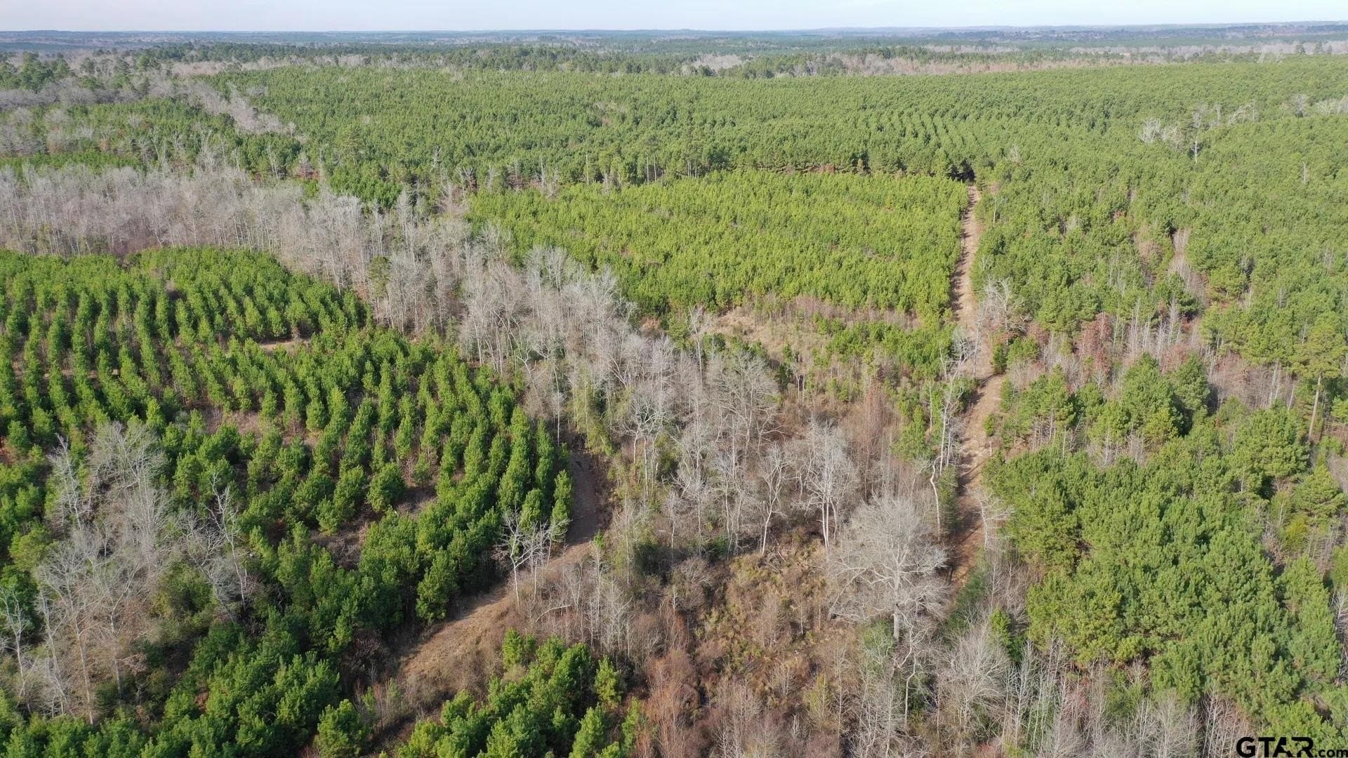 78 acres in Marion County - photo 6