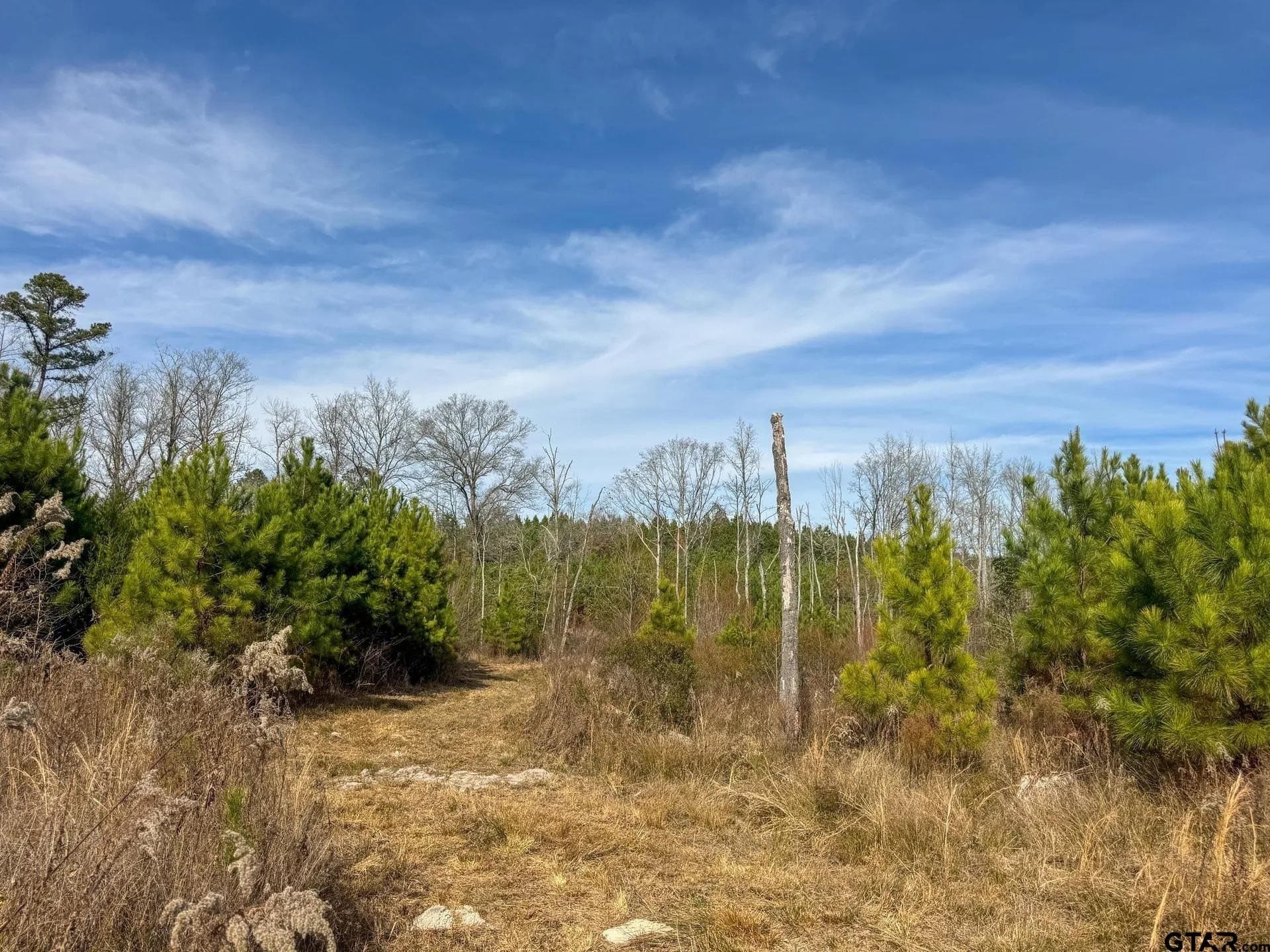 78 acres in Marion County - photo 39