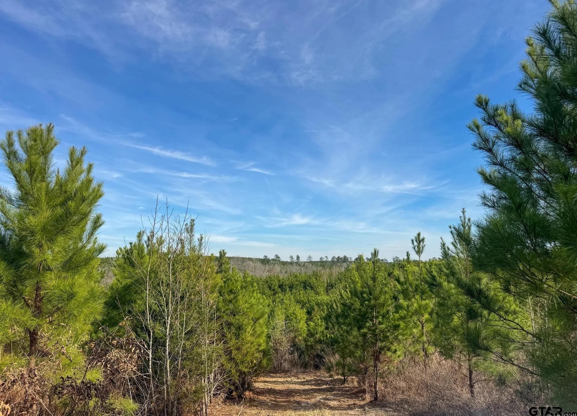 78 acres in Marion County - photo 35