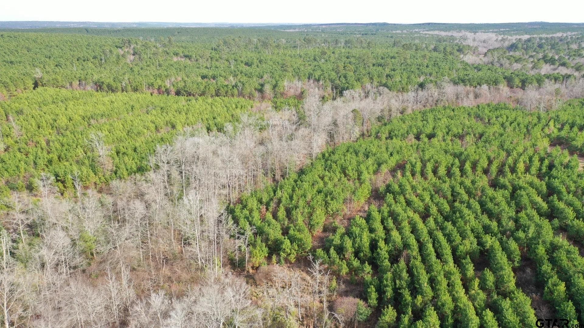 78 acres in Marion County - photo 5