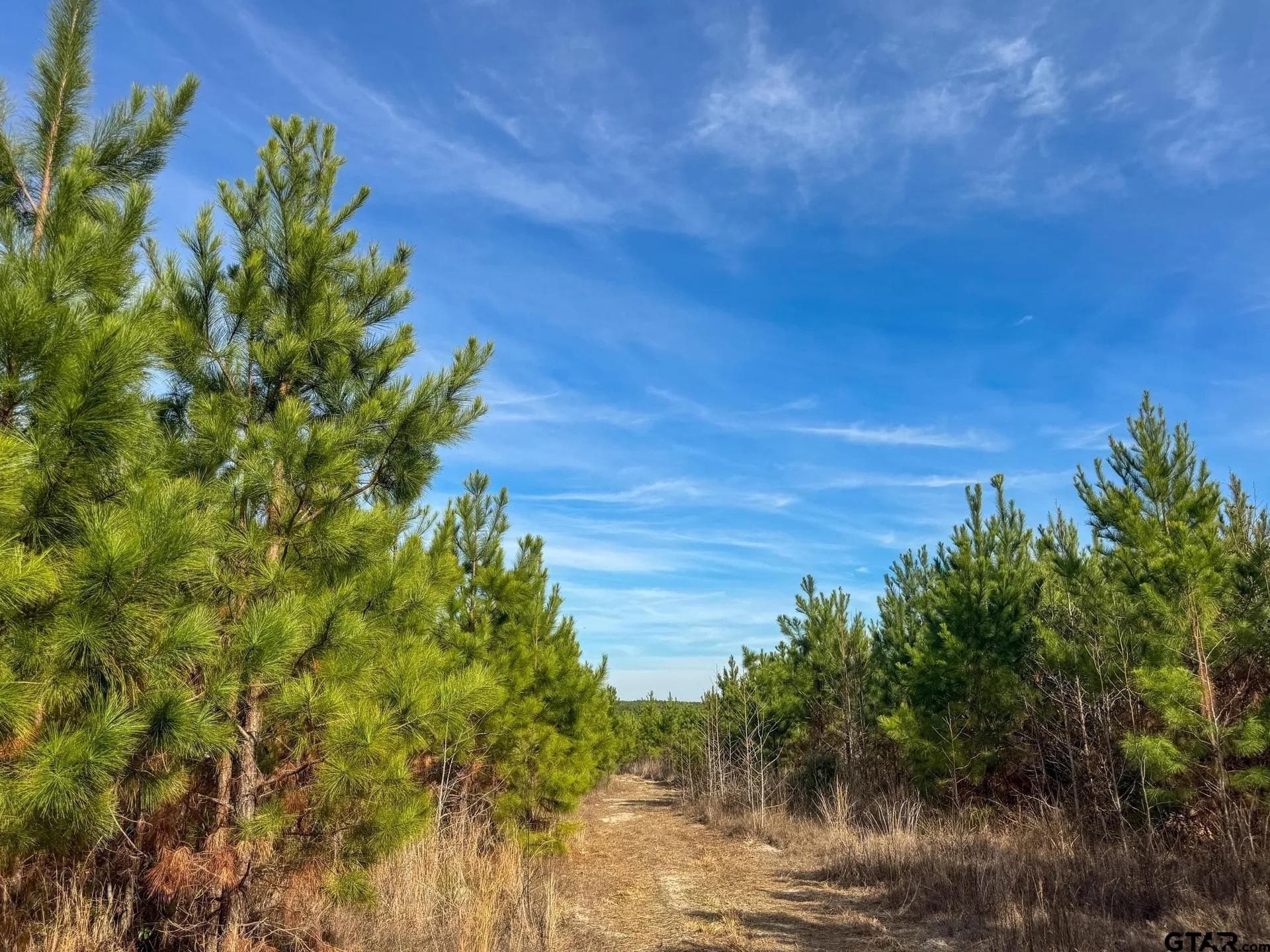 78 acres in Marion County - photo 22
