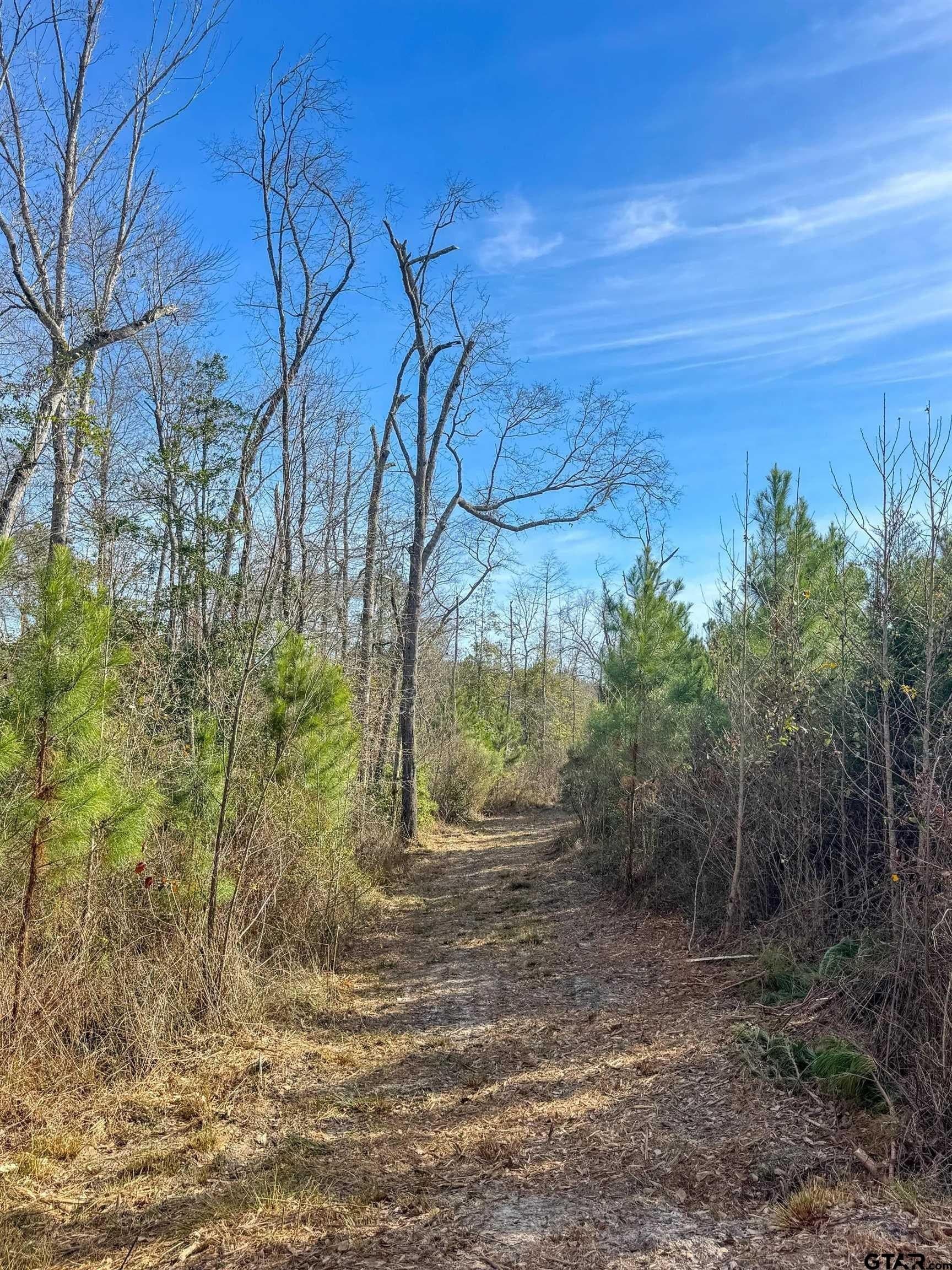 78 acres in Marion County - photo 36